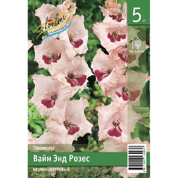 Гладиолус Вайн Энд Розес 10/12 5 Эконом шт 