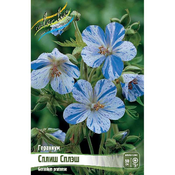 Гераниум Сплиш Сплэш I 1 шт