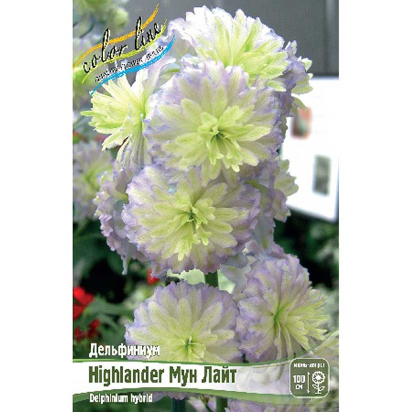 8404 Биг-Пак Дельфиниум Highlander Мун Лайт 3/5 n 25 шт 