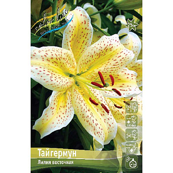 Лилия Тайгермун 12/14 25 шт Биг-пак 10439 