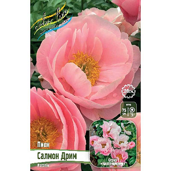 Пион Салмон Дрим 2/3 n 1 шт