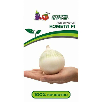 Лук Комета Партнер Ц