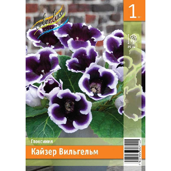 Глоксиния Кайзер Вильгельм 5/6 1 Эконом шт 