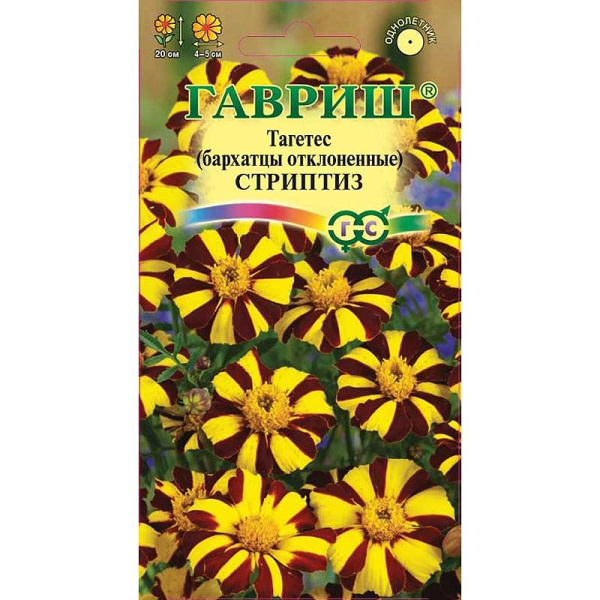Бархатцы Стриптиз откл. Гавриш  Ц 