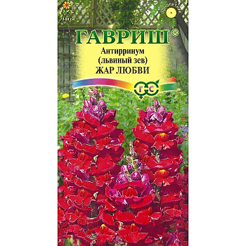 Львиный зев Жар любви Гавриш Ц 