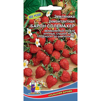Земляника Барон Солемахер Марс Ц