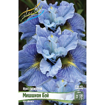 Ирис Сибирский Мишшион Бэй I 1 шт