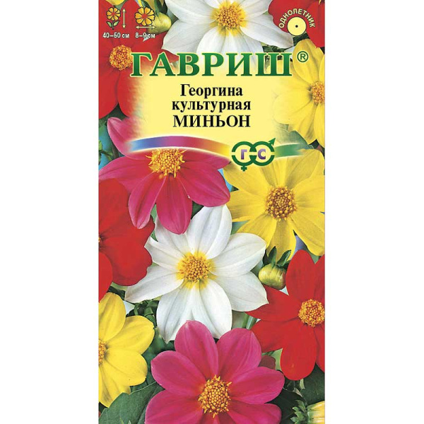 Георгин Миньон смесь Гавриш Ц 