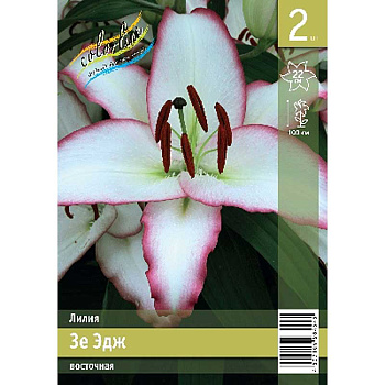 Лилия Зе Эдж 12/14 2 Эконом шт 