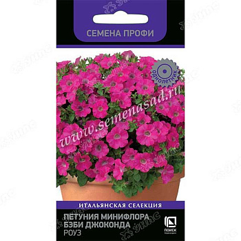 Петуния Бэби Джоконда Роуз Поиск Ц 