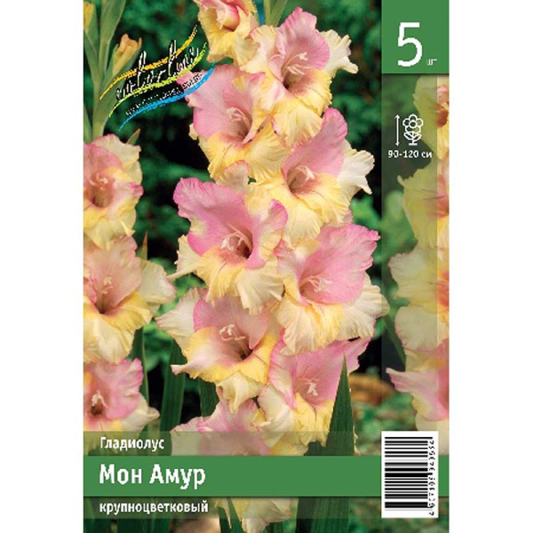 Гладиолус Мон Амур 10/12 5 Эконом шт 