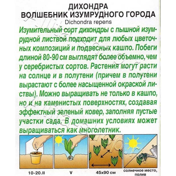 Дихондра Волшебник Изумрудного города Аэлита 