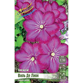 Клематис Виль Де Лион I 2 шт