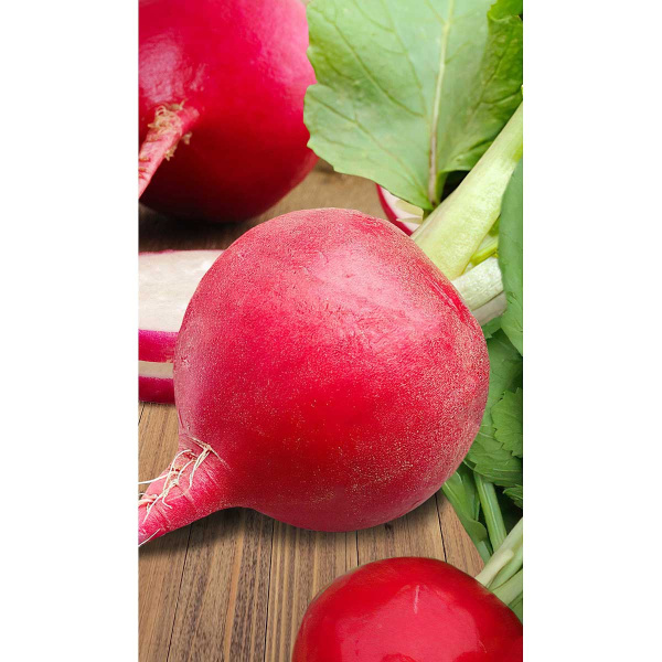 Редис Мелито F1 1гр Hazera/Садовита Ц