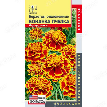 Бархатцы Бонанза Пчелка Плазма Ц 