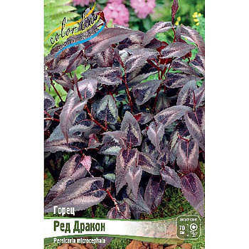Горец Ред Дракон I 1 шт
