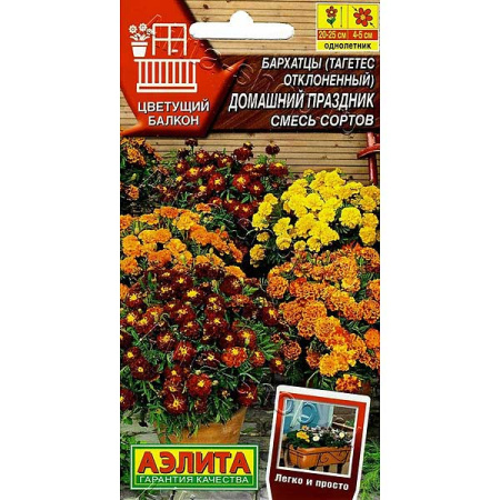 Бархатцы Домашний праздник Аэлита Ц 