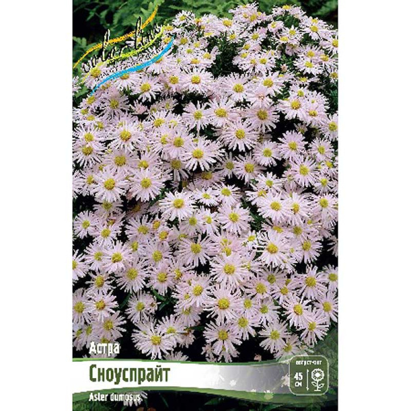 Астра Сноуспрайт I 1 шт