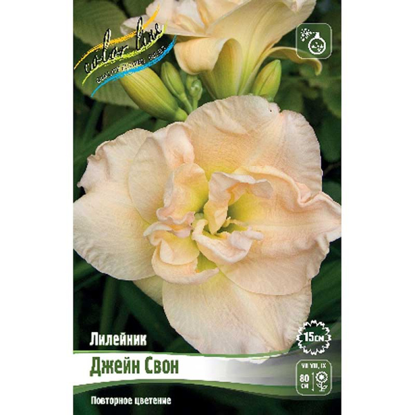 Лилейник Джейн Свон I 25 шт Биг-пак 7874