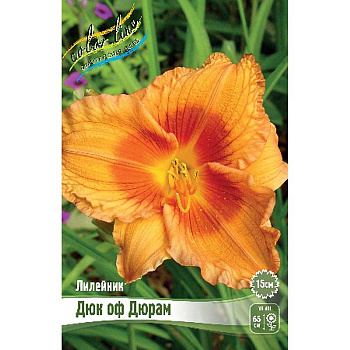 Лилейник Дюк Оф Дюрам I 25 шт Биг-пак 9360 