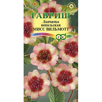 Лапчатка Мисс Виллмонтт непальская Гавриш Ц 