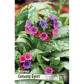 Медуница Сильвер Букет 2/3 n 1 шт