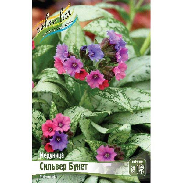 Медуница Сильвер Букет 2/3 n 1 шт