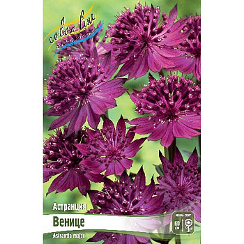 8309 Биг-Пак Астранция Венице I 25 шт 