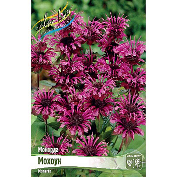 Монарда Мохоук I 1 шт