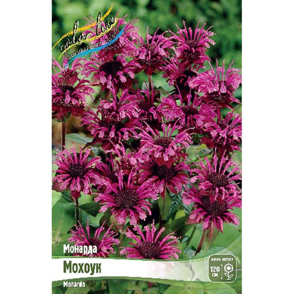 Монарда Мохоук I 1 шт