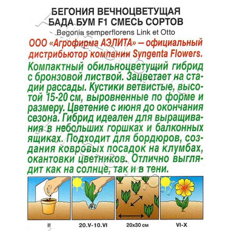 КОМ Бегония Бада бум смесь Аэлита Ц 