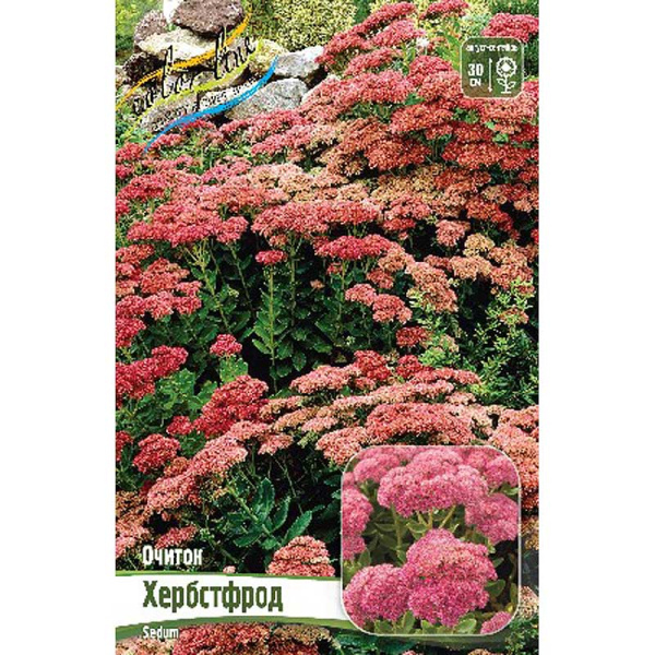 Очиток Хербстфрод I 25 шт Биг-Пак 13487