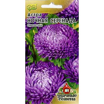 Астра Ночная серенада Удачн.сем. Гавриш Ц 