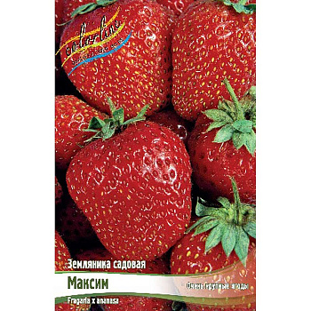 Земляника Садовая Максим A 5 шт 