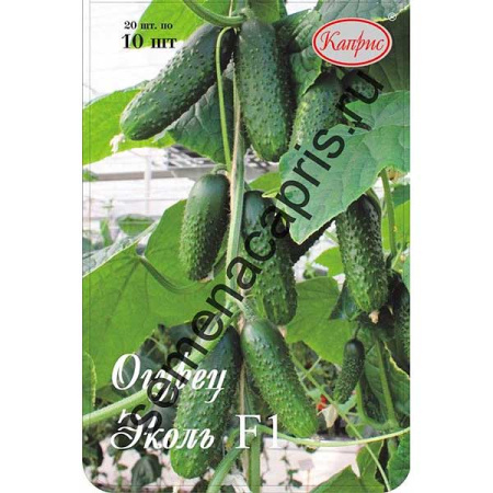 Огурец Эколь Каприс