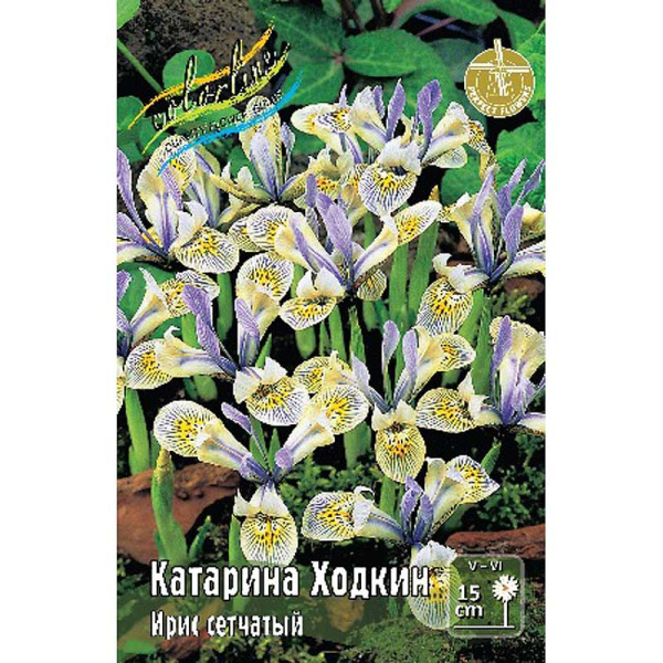 7624 Шоу-Бокс Ирис Сетч. Катарина Ходкин 6/+ 100 шт