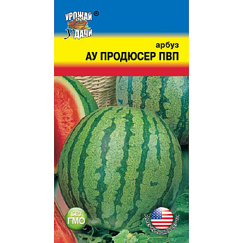 Арбуз Продюсер Урожай у дачи