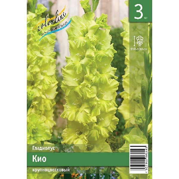 Гладиолус Кио 10/12 3 Эконом шт 