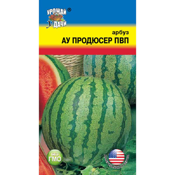 Арбуз Продюсер Урожай у дачи