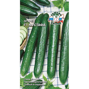 Огурец Мустафа Седек Ц