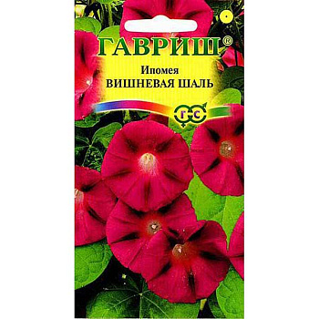 Ипомея Вишневая шаль Гавриш Ц 