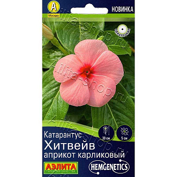 Катарантус Хитвейв априкот карликовый Аэлита Цх10 