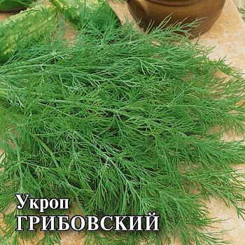 Укроп Грибовский 25г фермер Гавриш Ц