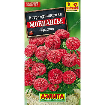 Астра Монпансье красная Аэлита Ц 