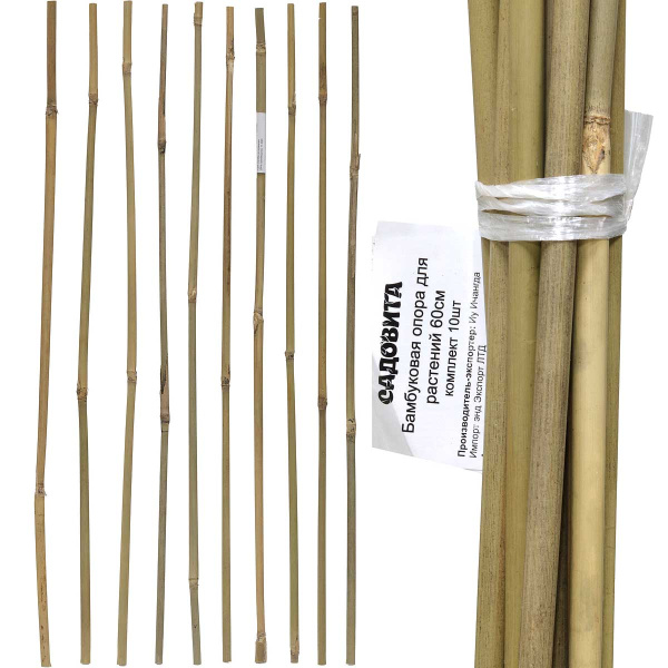 Бамбуковые колышки 60см 8/10мм комплект 10шт (50)