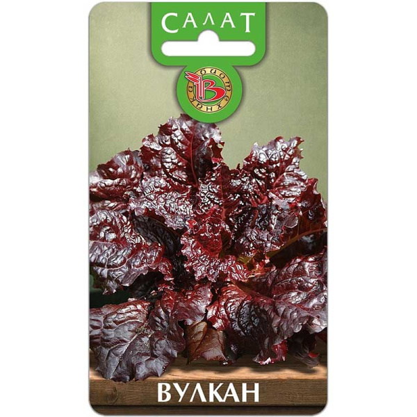 Салат Вулкан Биотехника Ц