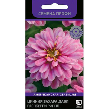 Циния Захара Дабл Распберри Риппл Поиск Ц 