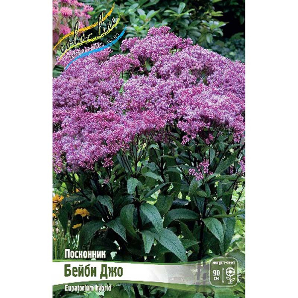 8575 Биг-Пак Посконник Бейби Джо I 25 шт 