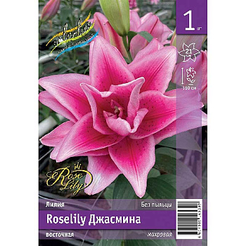 Лилия Roselily Джасмина 12/14 1 Эконом шт 