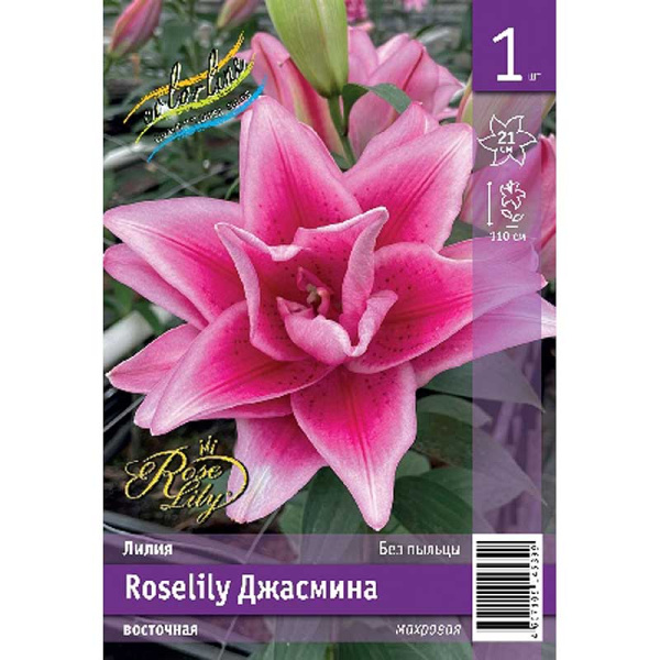 Лилия Roselily Джасмина 12/14 1 Эконом шт 